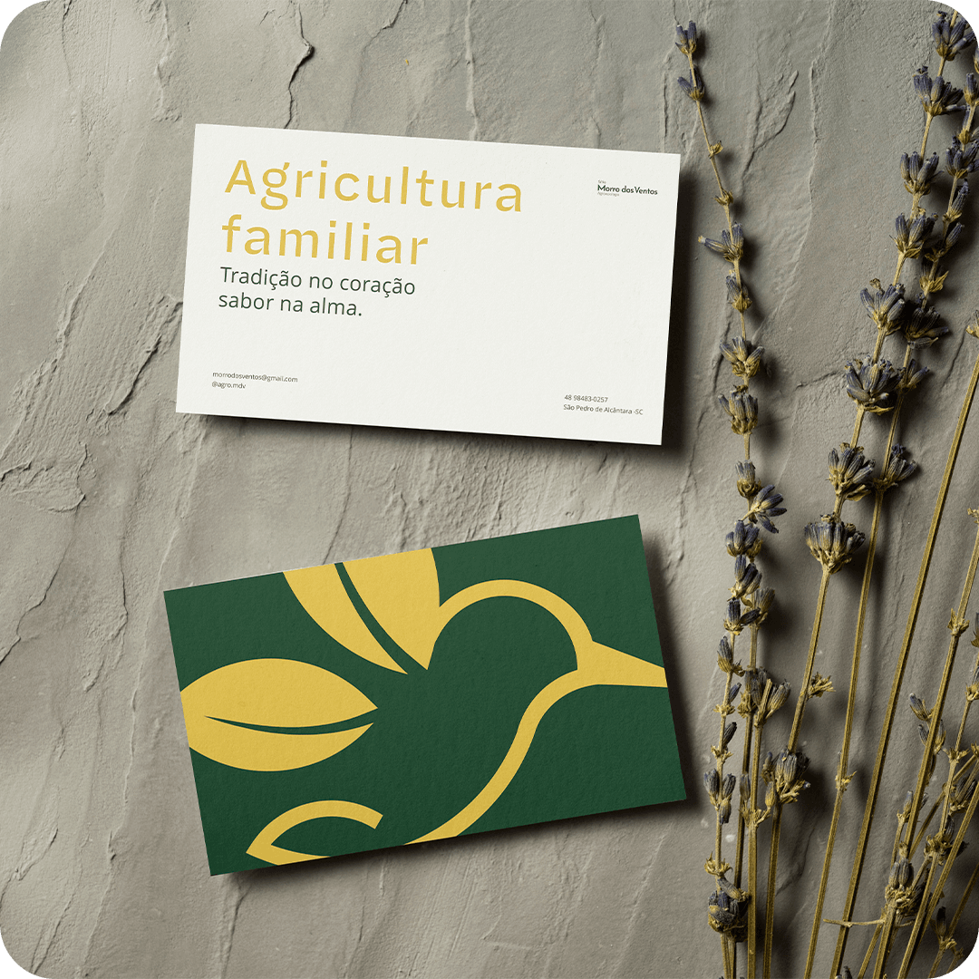 morro dos ventos arredondada