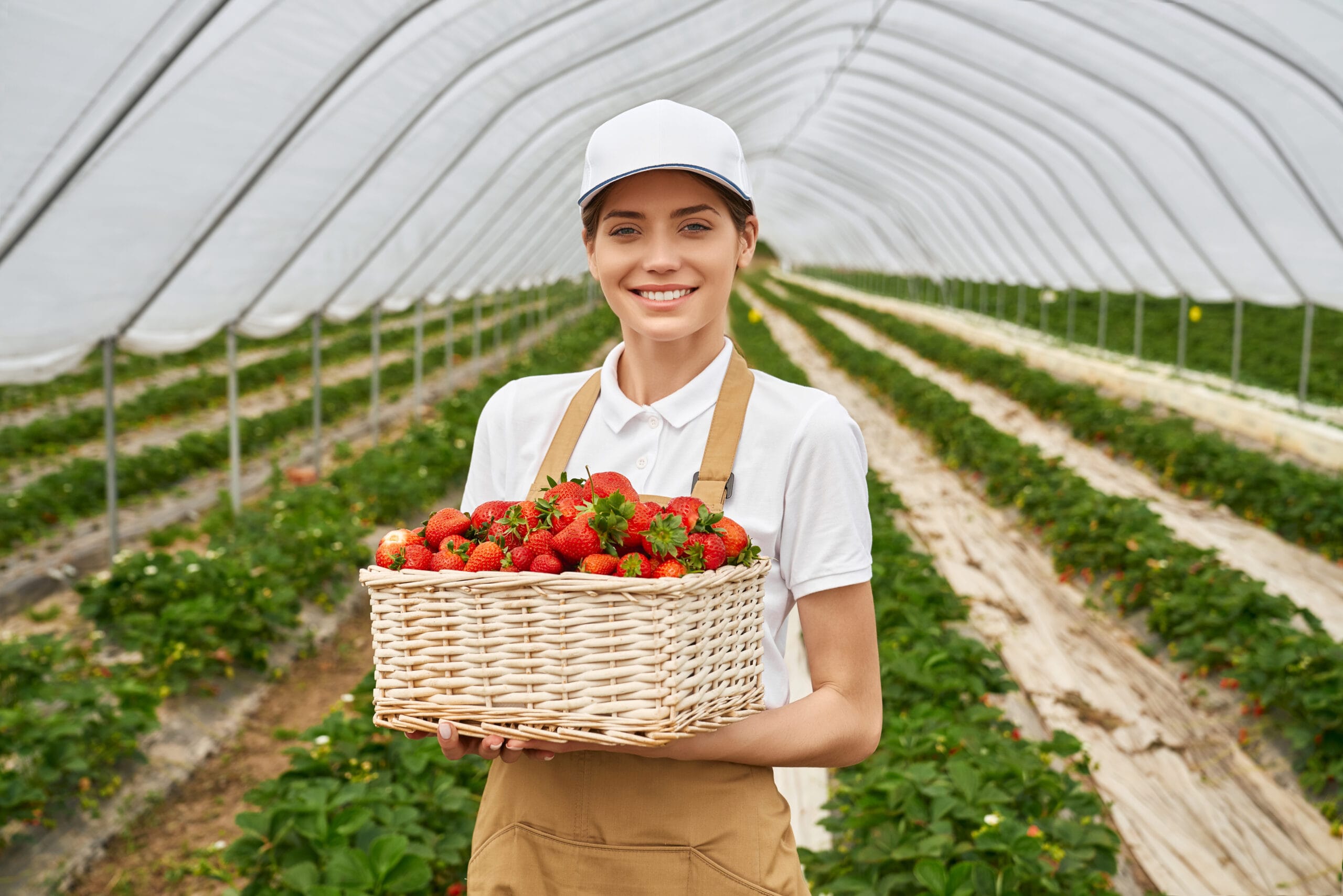 Woman standing at greenhouse with basket of strawberries